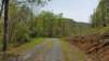 _121735_small.jpg