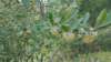 _164509_small.jpg
