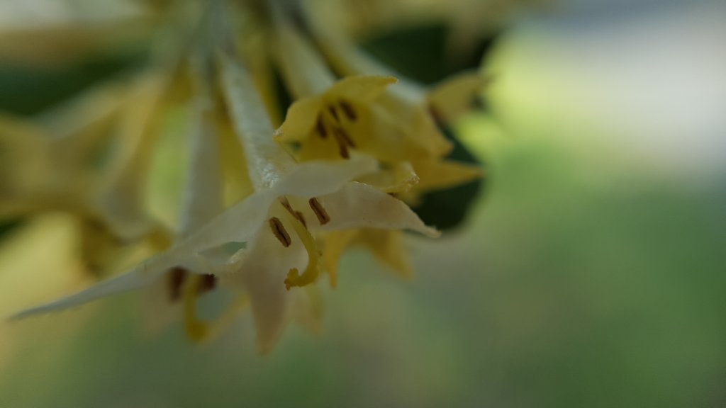 _164907.jpg