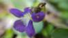 _165345_small.jpg