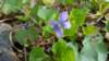 _165715_small.jpg