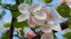 _170354_small.jpg