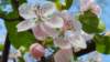_170402_small.jpg