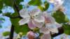 _170406_small.jpg