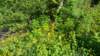 _171017_small.jpg