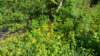 _171019_small.jpg