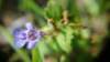 _171259_small.jpg