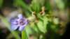 _171302_small.jpg