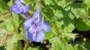 _171642_small.jpg