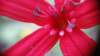 _1720271_small.jpg
