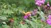 _124746_small.jpg