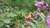 _124806_small.jpg