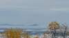 _102655_small.jpg