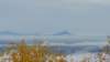 _102817_small.jpg