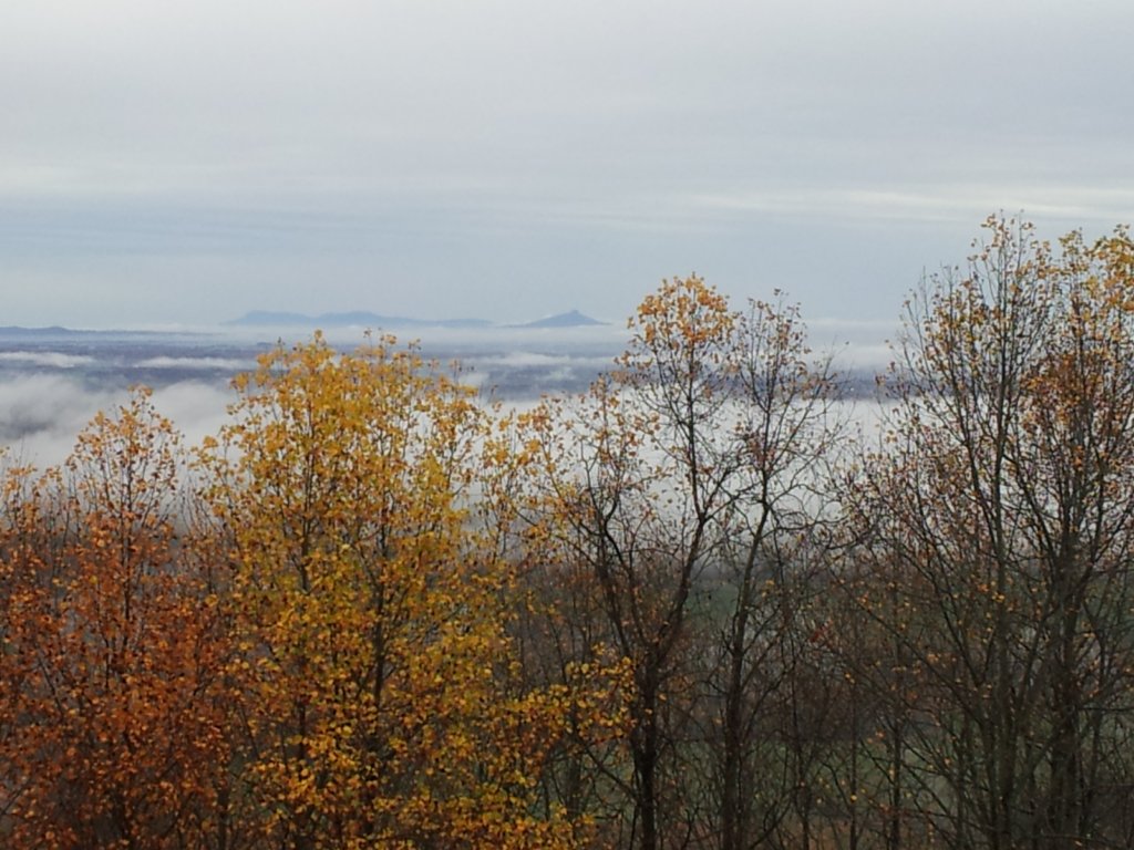 photo.jpg