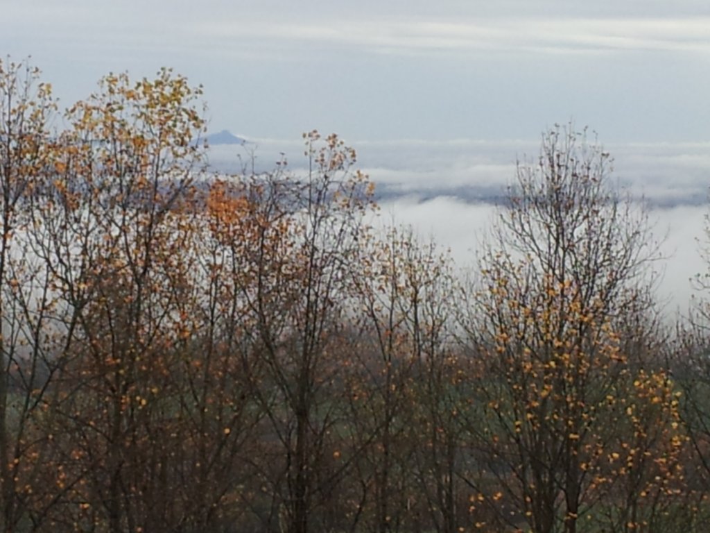 photo10.jpg