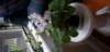 _065410_small.jpg