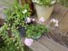 _160533_small.jpg