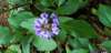 _172350_small.jpg
