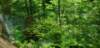 _120447_small.jpg