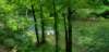 _120553_small.jpg