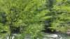 _130401_small.jpg