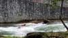 _135554_small.jpg