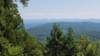 _140340_small.jpg