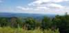 _145036_small.jpg