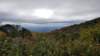 _125024_small.jpg