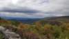 _125655_small.jpg
