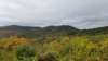 _125704_small.jpg