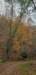 _163617_small.jpg