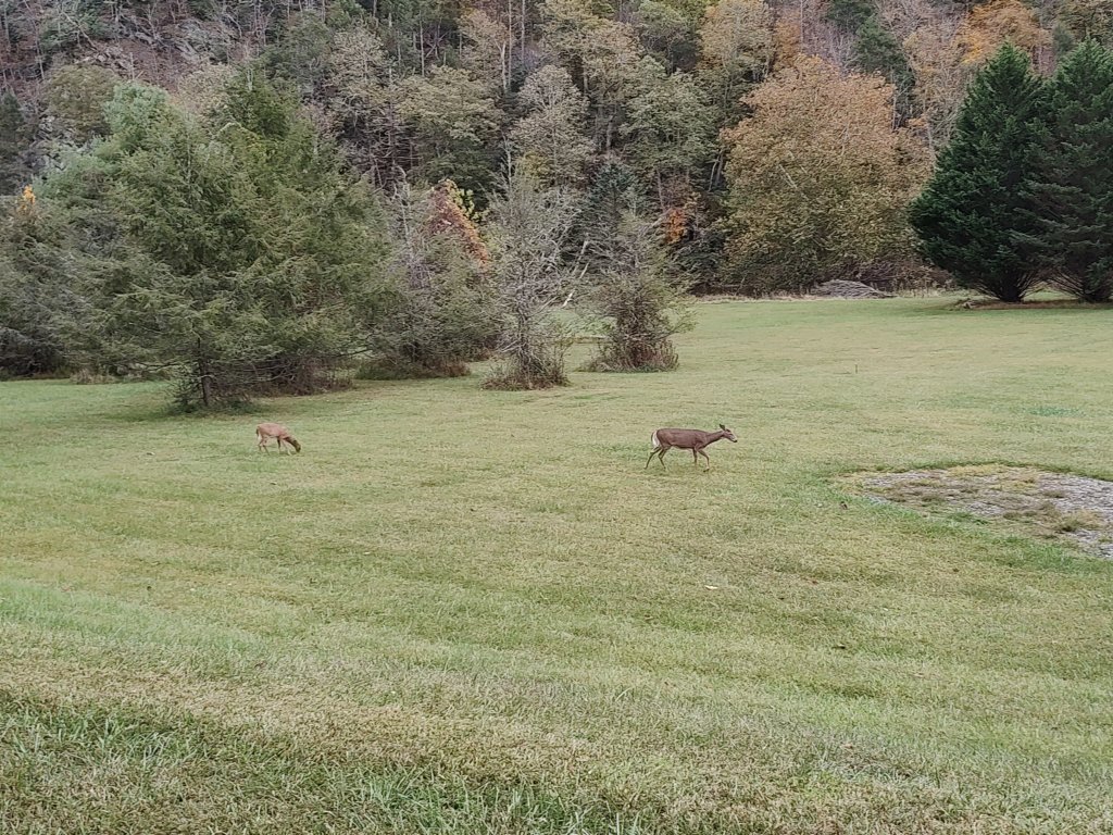 img_20251010_153246408.jpg