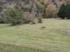 img_20251010_153246408_small.jpg