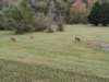 img_20251010_153255506_small.jpg