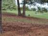 img_20251011_165545624_small.jpg