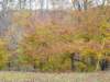 _094101_small.jpg