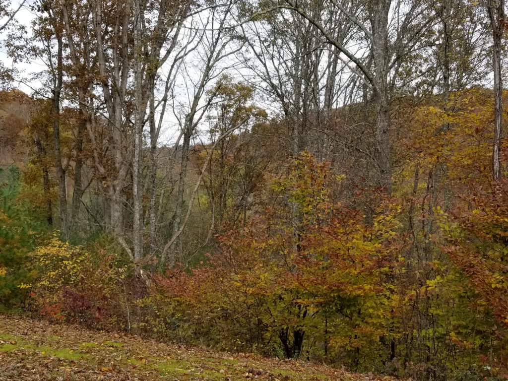 _094105.jpg
