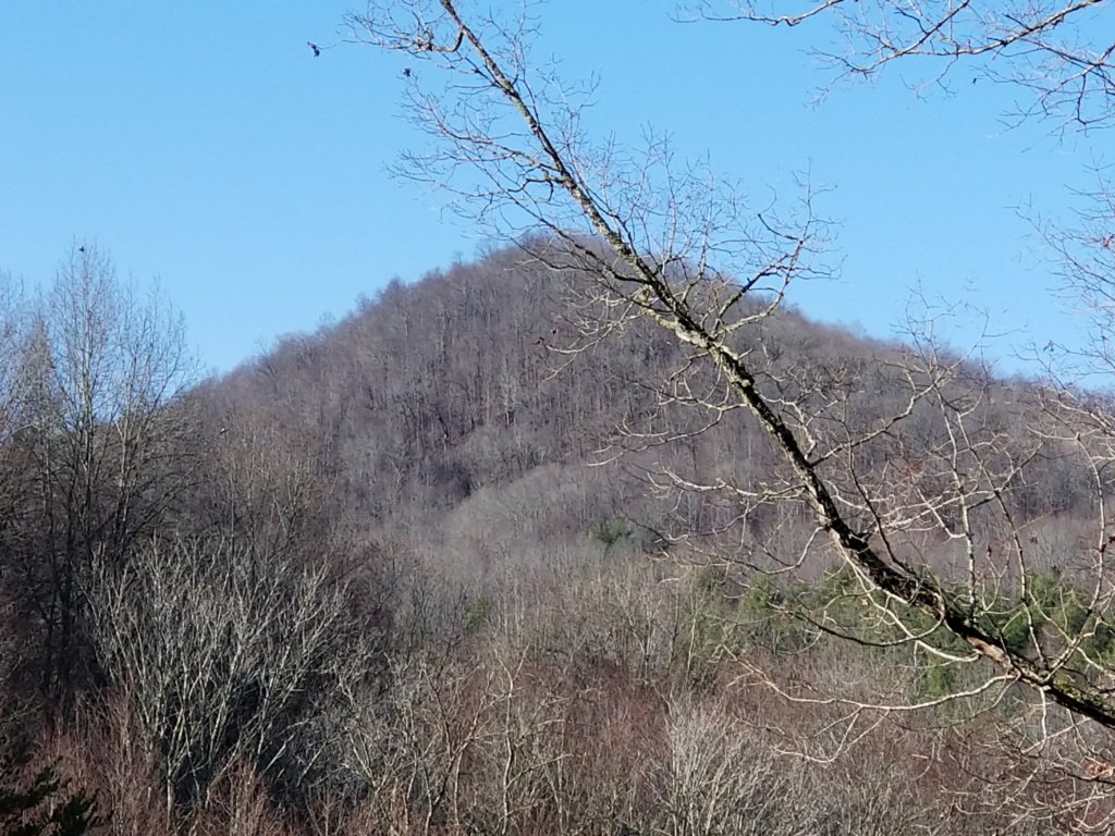 _110206.jpg