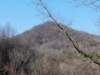 _110206_small.jpg