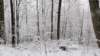 _105403_small.jpg