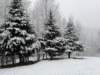 lansing_1282025_1_small.jpg