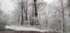 _105320_small.jpg