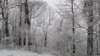 _105337_small.jpg