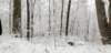 _105418_small.jpg