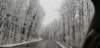 _105528_small.jpg