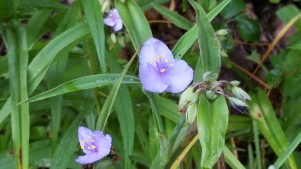 _094747.jpg
