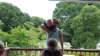 _132755_small.jpg