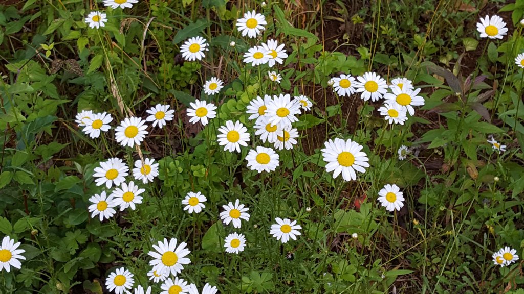 _194328.jpg